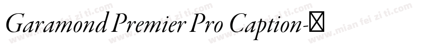 Garamond Premier Pro Caption字体转换
